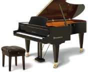 Bosendorfer Semi Concert Grand Piano | Model 225
