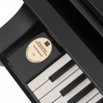 Schonbrunn piano side panel with decorative inlay