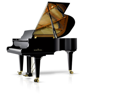 Schimmel K175