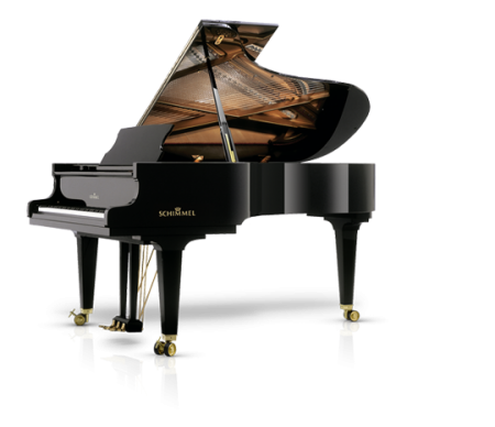 Schimmel K219