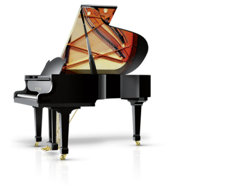 Schimmel W180