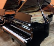 Bernhard Steiner Grand Piano for Sale