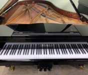Bluthner Grand Piano | Model 2 | Ebony Polish