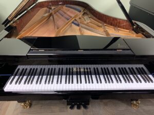 Professional piano appraisal and valuation